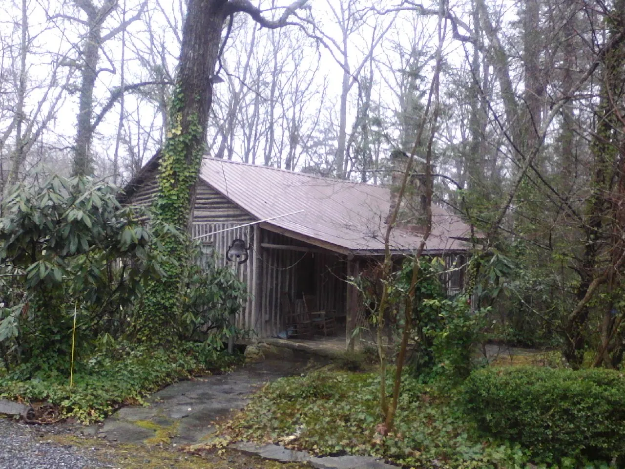 Weathered metal roof on an old board sided cabin in the woods in Sylmar